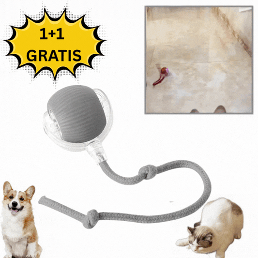 Bila Interactivă Anti-Plictiseală pentru Câini și Pisici 🐶🐱