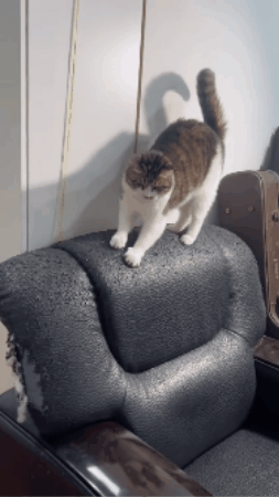 LumiPaw™-un moment de grijă și liniște 🐾